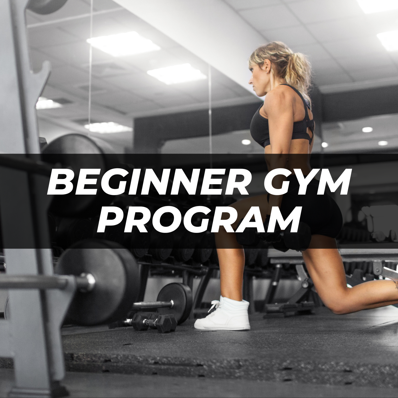 The Beginner’s Gym Program